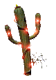 cactus imatges-animades-gif